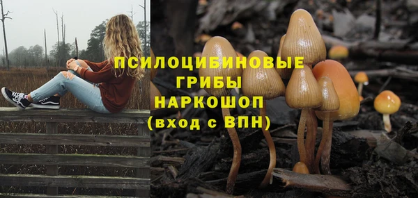СК Вяземский