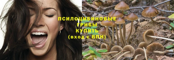 2c-b Вязьма