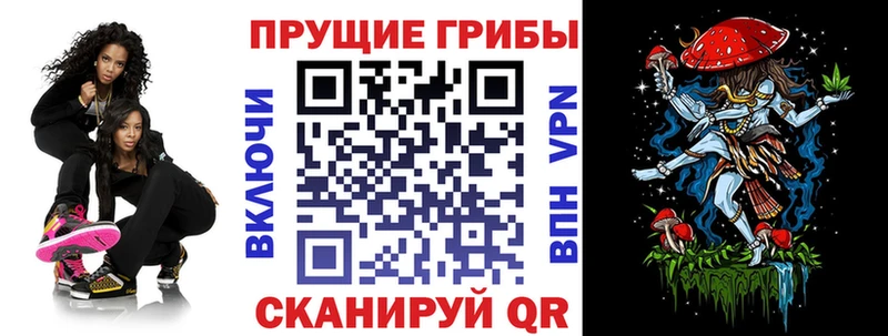 Галлюциногенные грибы Cubensis  Купить закладки  Котовск 