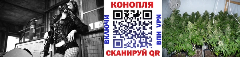 Бошки марихуана Ganja  Купить  Котовск 